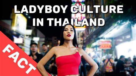 thai ladyboy|Ladyboys in Thailand: A Very Typical Story